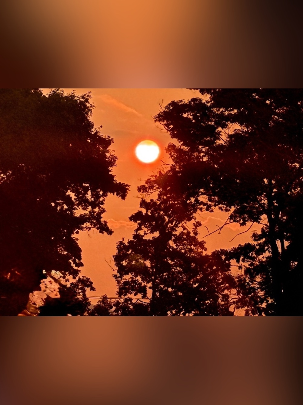 Orange Sunset Tree Silhouette Photo Print
